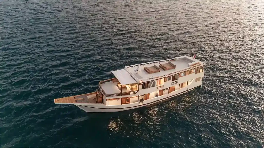 Best Komodo Tour Company 2027: The Criteria That Matter and Who Actually Meets Them