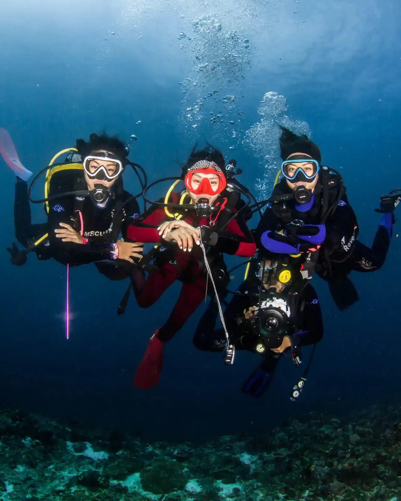 Top 10 Komodo Dive Sites in 2027: Batu Bolong to Cannibal Rock