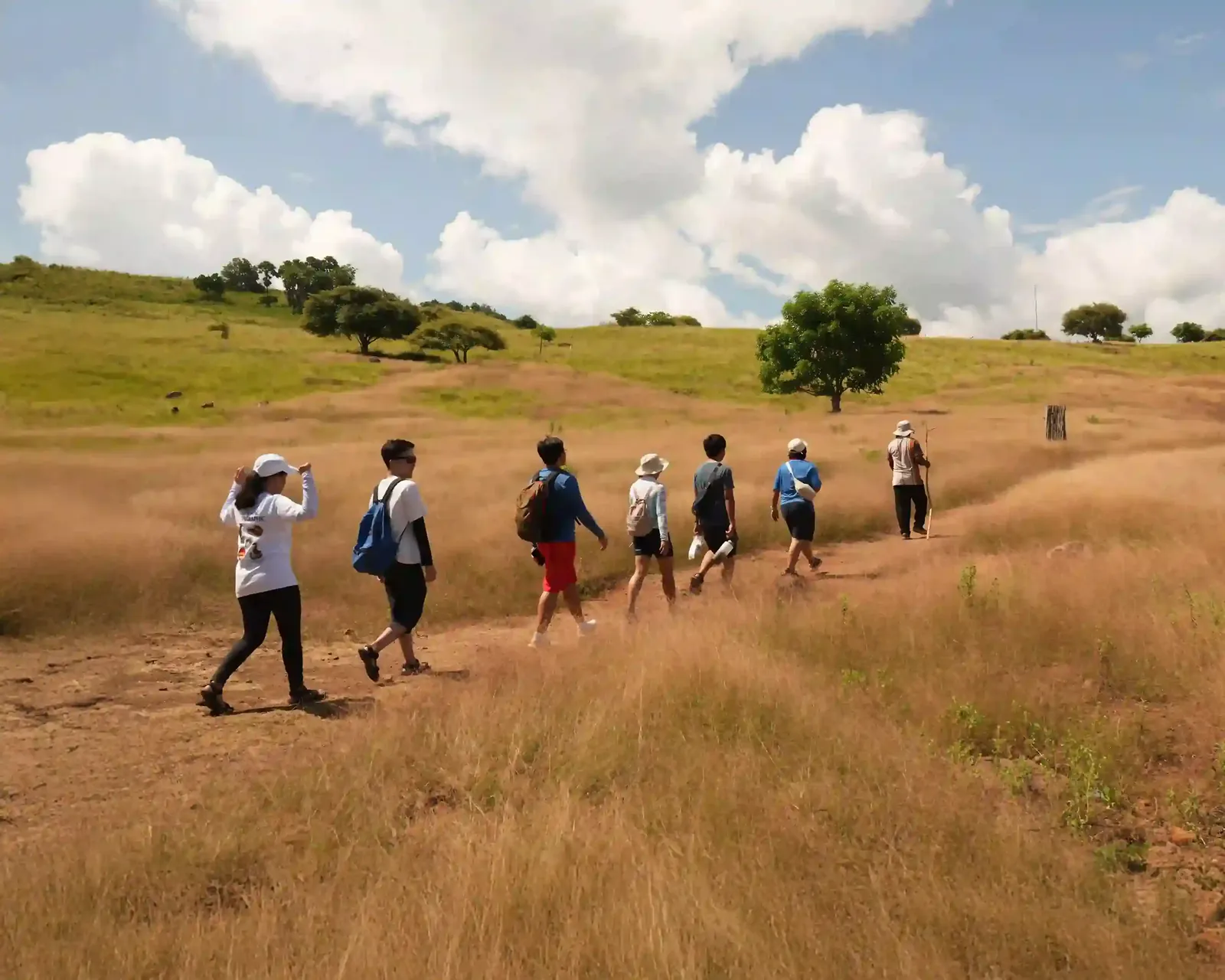 Ranger-guided trekking in Komodo National Park