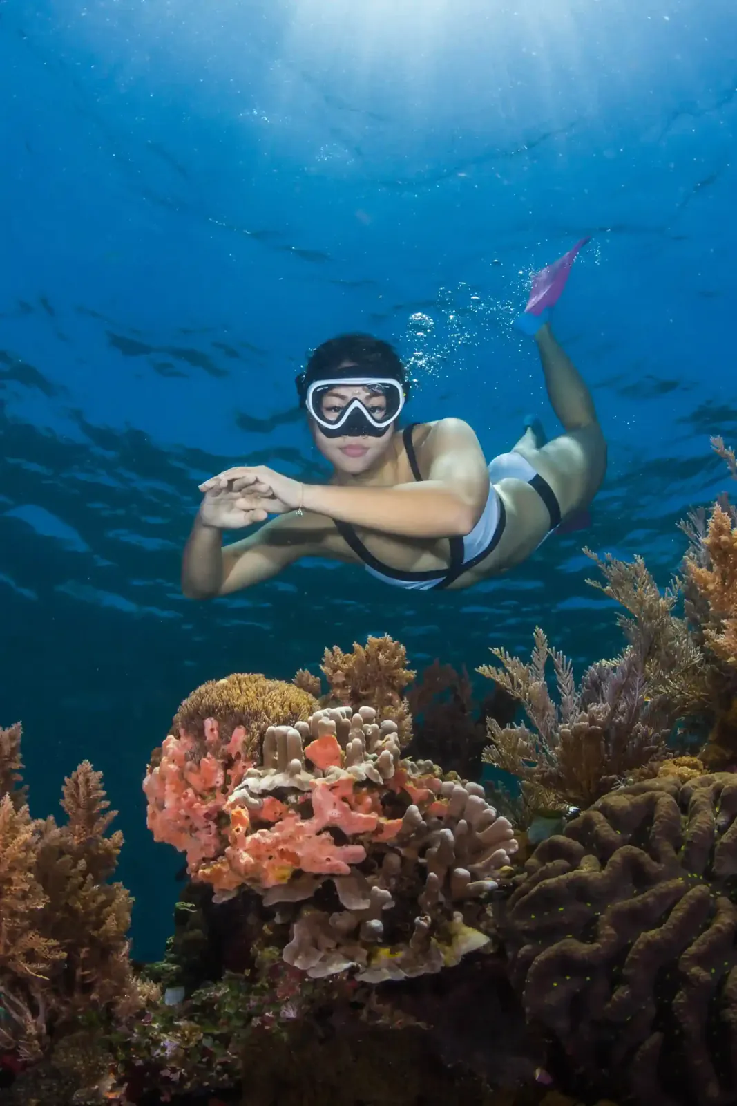 Guided snorkelling in Komodo National Park